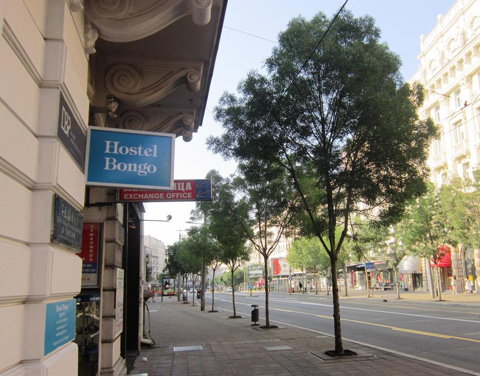 Hostel Bongo Belgrad Dış mekan fotoğraf