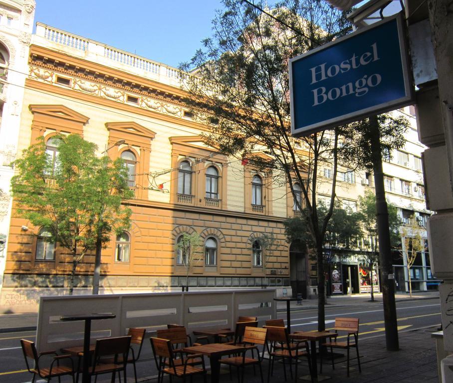 Hostel Bongo Belgrad Dış mekan fotoğraf